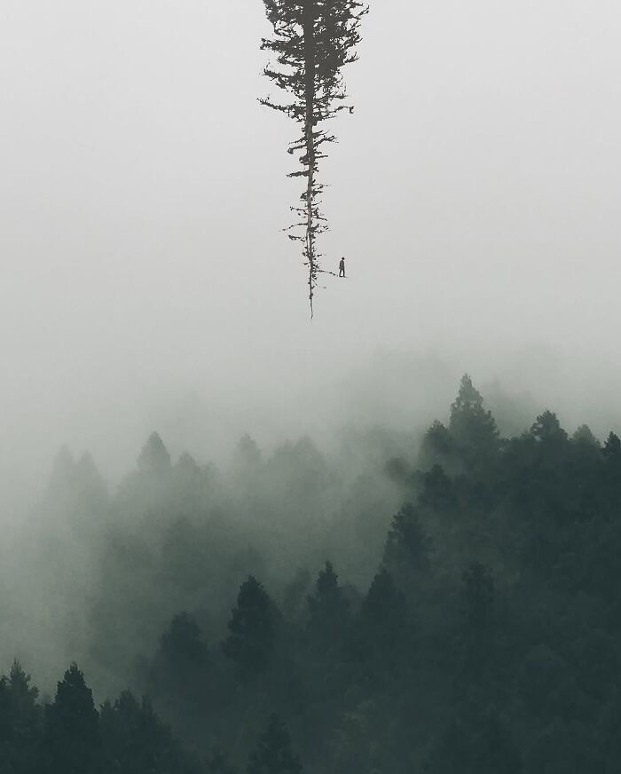 Ted Chin: O artista digital que transforma sonhos em realidade (25 fotos) 6