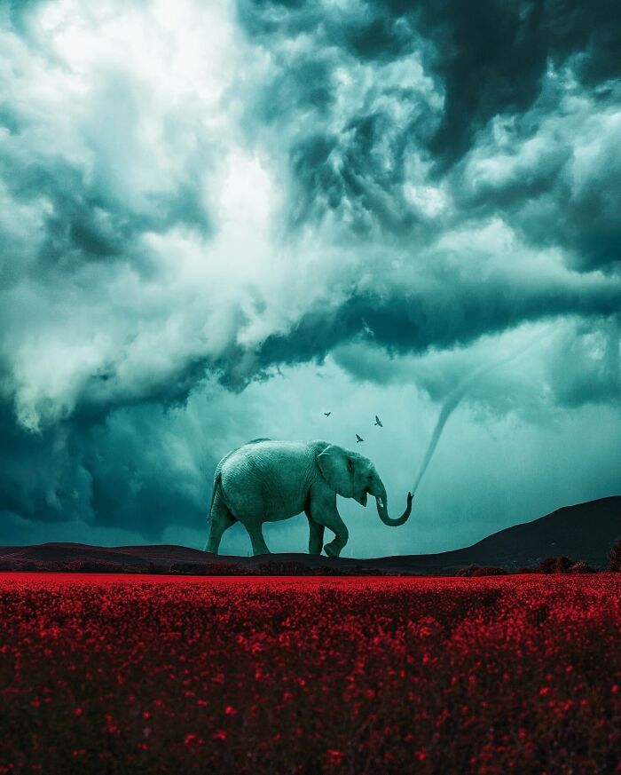 Ted Chin: O artista digital que transforma sonhos em realidade (25 fotos) 18