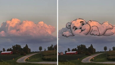 Artista transforma nuvens em personagens encantadores e mostra que o céu pode ser mais divertido do que parece (22 fotos) 7