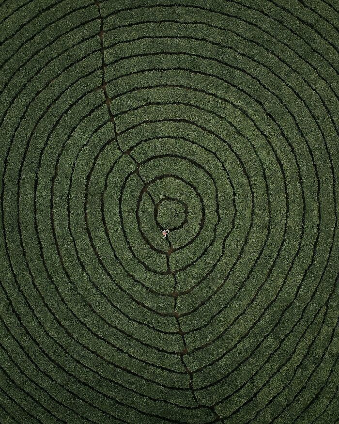 As fotos surreais de Savad: Quando a realidade parece saída de um filme de fantasia (40 fotos) 21