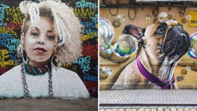 Bobby RogueOne: O artista de rua que faz Glasgow sorrir com seus murais surpreendentes (30 fotos) 5