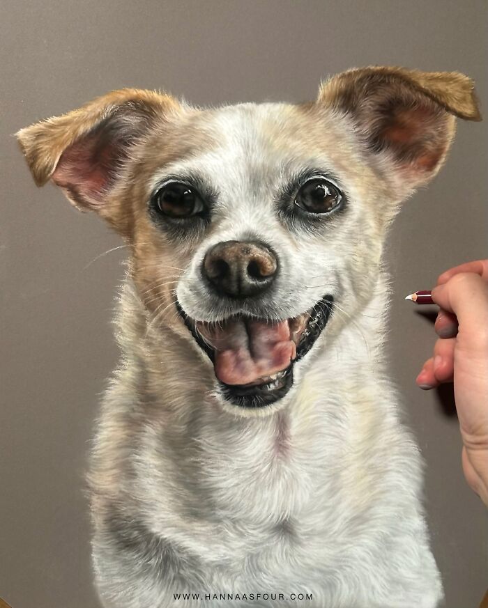 Hanna Asfour: O artista que transforma papel em retratos realistas de animais (32 fotos) 1 Hanna Asfour: O artista que transforma papel em retratos realistas de animais (32 fotos) 1