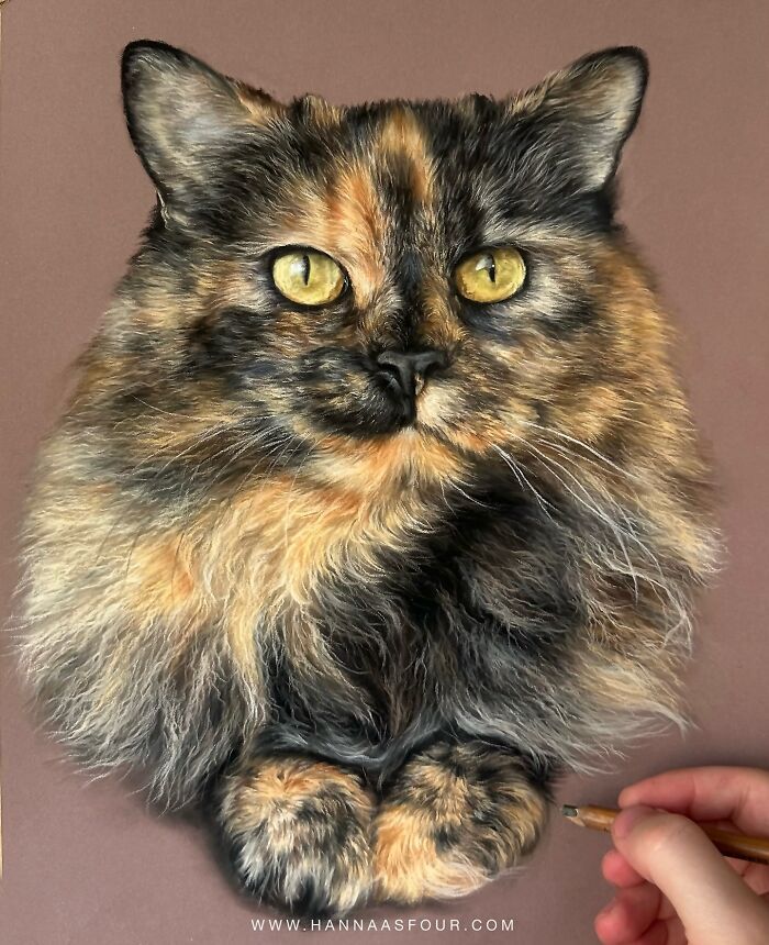 Hanna Asfour: O artista que transforma papel em retratos realistas de animais (32 fotos) 2 Hanna Asfour: O artista que transforma papel em retratos realistas de animais (32 fotos) 2