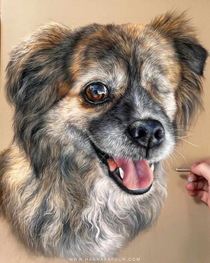 Hanna Asfour: O artista que transforma papel em retratos realistas de animais (32 fotos) 5 Hanna Asfour: O artista que transforma papel em retratos realistas de animais (32 fotos) 5