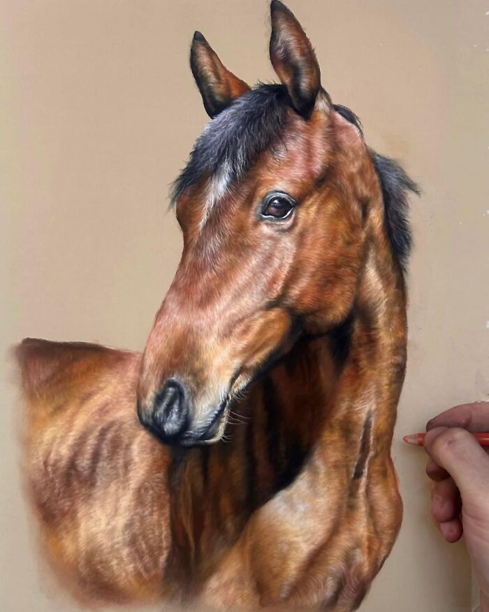 Hanna Asfour: O artista que transforma papel em retratos realistas de animais (32 fotos) 6 Hanna Asfour: O artista que transforma papel em retratos realistas de animais (32 fotos) 6