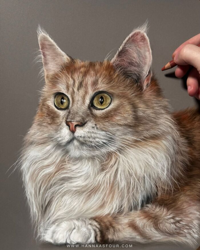 Hanna Asfour: O artista que transforma papel em retratos realistas de animais (32 fotos) 7 Hanna Asfour: O artista que transforma papel em retratos realistas de animais (32 fotos) 7