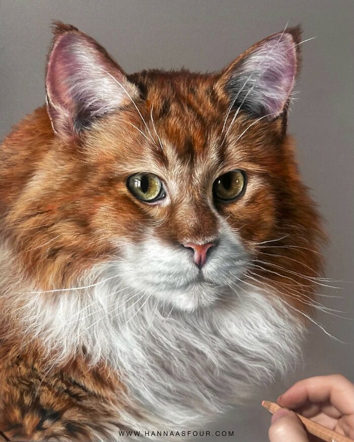 Hanna Asfour: O artista que transforma papel em retratos realistas de animais (32 fotos) 8 Hanna Asfour: O artista que transforma papel em retratos realistas de animais (32 fotos) 8