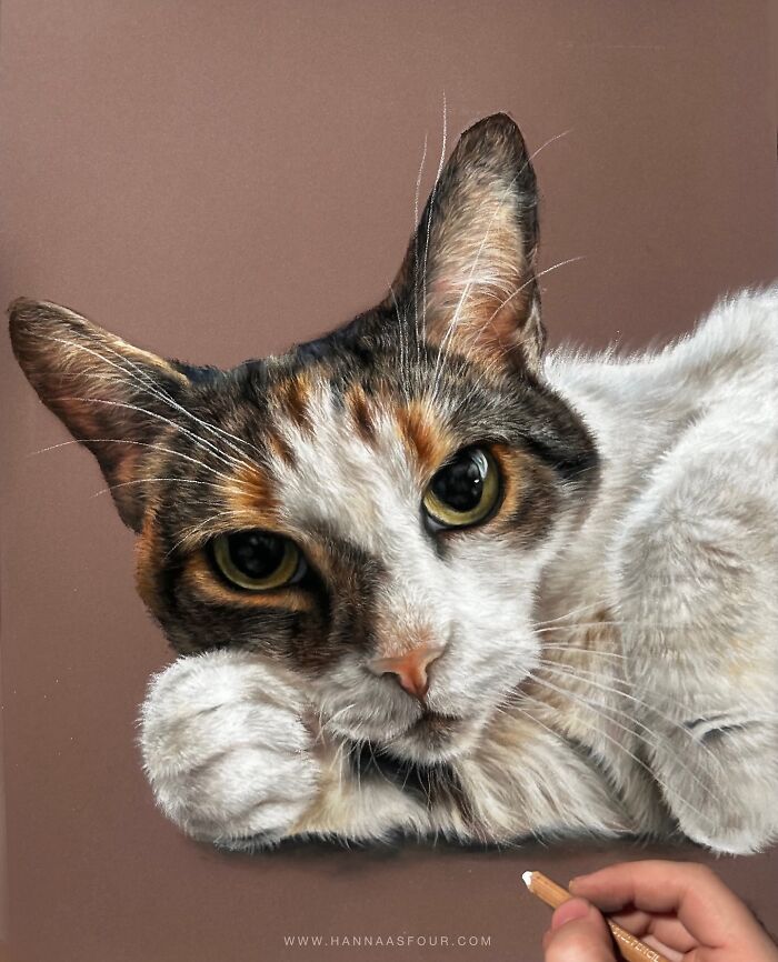 Hanna Asfour: O artista que transforma papel em retratos realistas de animais (32 fotos) 10 Hanna Asfour: O artista que transforma papel em retratos realistas de animais (32 fotos) 10