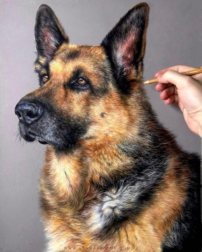 Hanna Asfour: O artista que transforma papel em retratos realistas de animais (32 fotos) 11 Hanna Asfour: O artista que transforma papel em retratos realistas de animais (32 fotos) 11