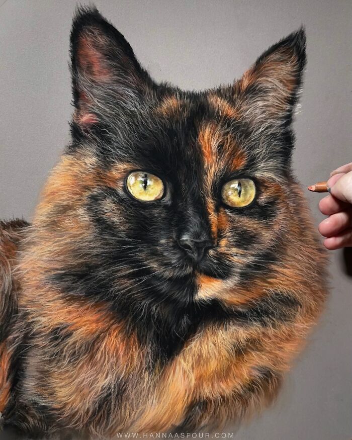 Hanna Asfour: O artista que transforma papel em retratos realistas de animais (32 fotos) 12 Hanna Asfour: O artista que transforma papel em retratos realistas de animais (32 fotos) 12