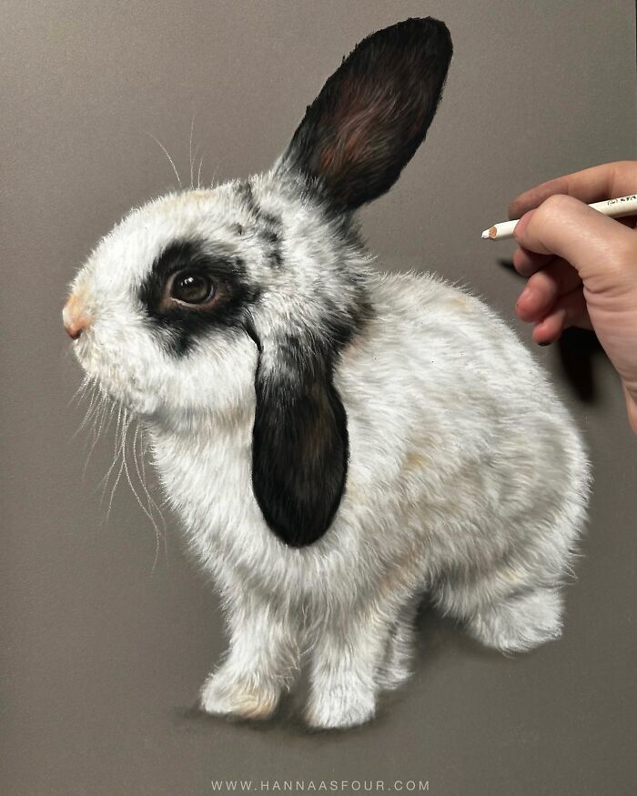 Hanna Asfour: O artista que transforma papel em retratos realistas de animais (32 fotos) 13 Hanna Asfour: O artista que transforma papel em retratos realistas de animais (32 fotos) 13