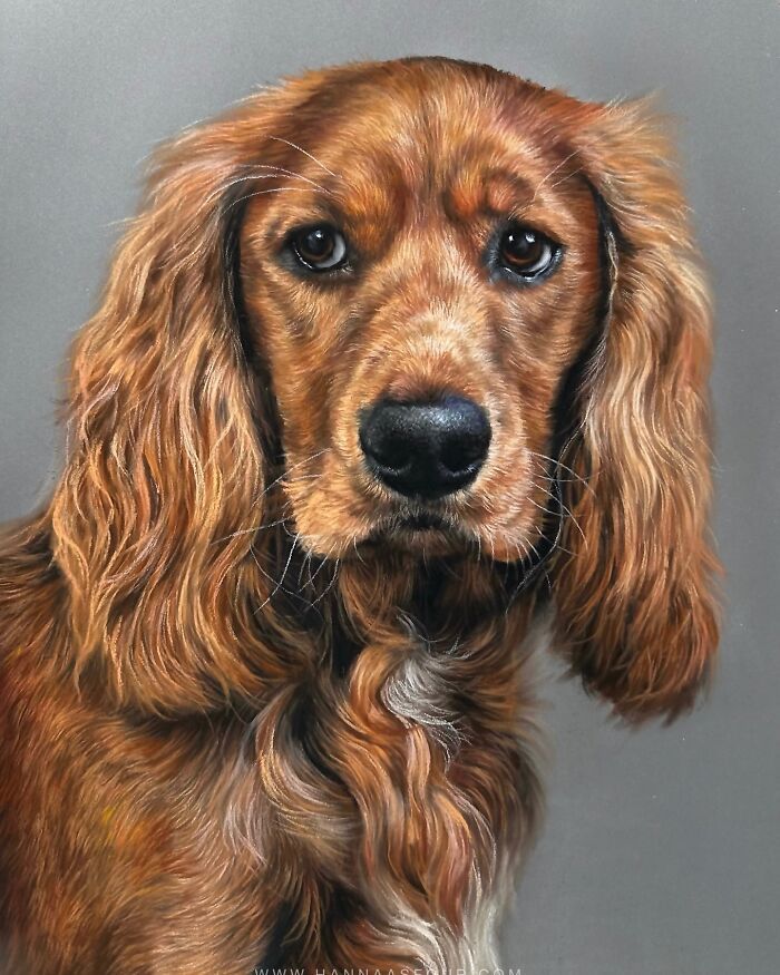 Hanna Asfour: O artista que transforma papel em retratos realistas de animais (32 fotos) 14 Hanna Asfour: O artista que transforma papel em retratos realistas de animais (32 fotos) 14