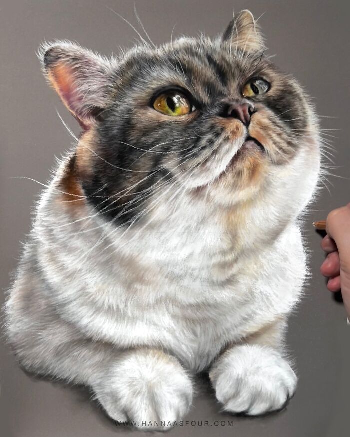 Hanna Asfour: O artista que transforma papel em retratos realistas de animais (32 fotos) 17 Hanna Asfour: O artista que transforma papel em retratos realistas de animais (32 fotos) 17