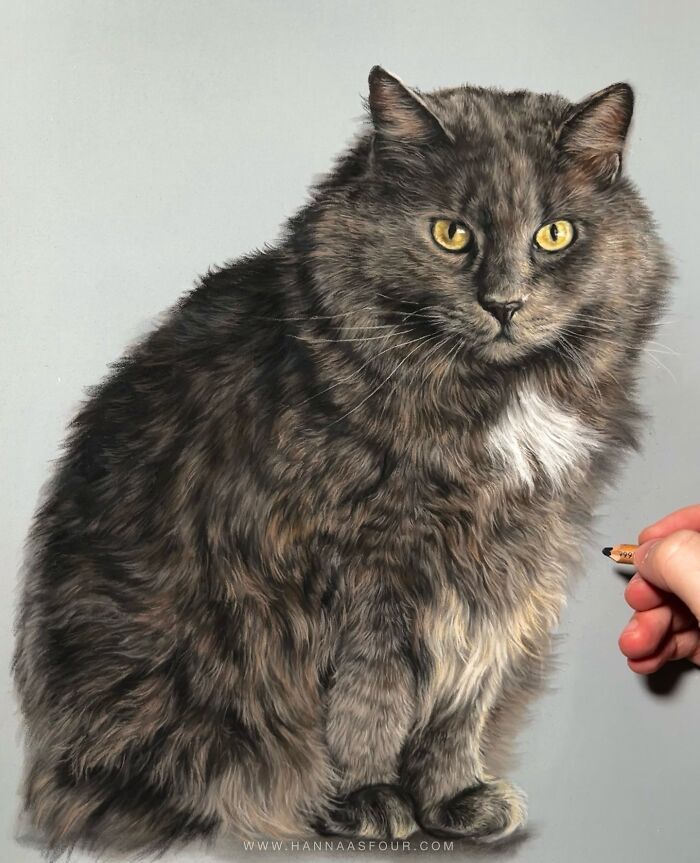 Hanna Asfour: O artista que transforma papel em retratos realistas de animais (32 fotos) 19 Hanna Asfour: O artista que transforma papel em retratos realistas de animais (32 fotos) 19