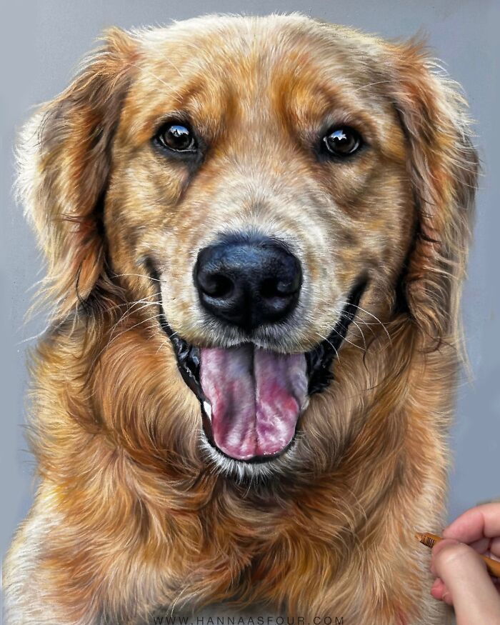Hanna Asfour: O artista que transforma papel em retratos realistas de animais (32 fotos) 20 Hanna Asfour: O artista que transforma papel em retratos realistas de animais (32 fotos) 20