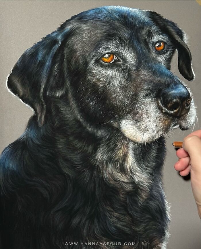 Hanna Asfour: O artista que transforma papel em retratos realistas de animais (32 fotos) 21 Hanna Asfour: O artista que transforma papel em retratos realistas de animais (32 fotos) 21