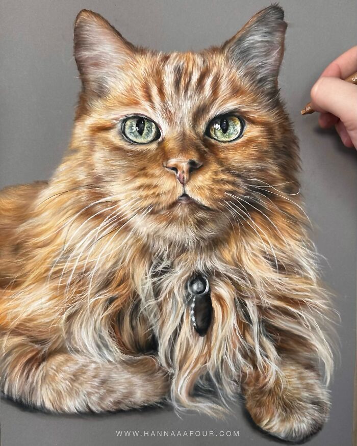 Hanna Asfour: O artista que transforma papel em retratos realistas de animais (32 fotos) 22 Hanna Asfour: O artista que transforma papel em retratos realistas de animais (32 fotos) 22