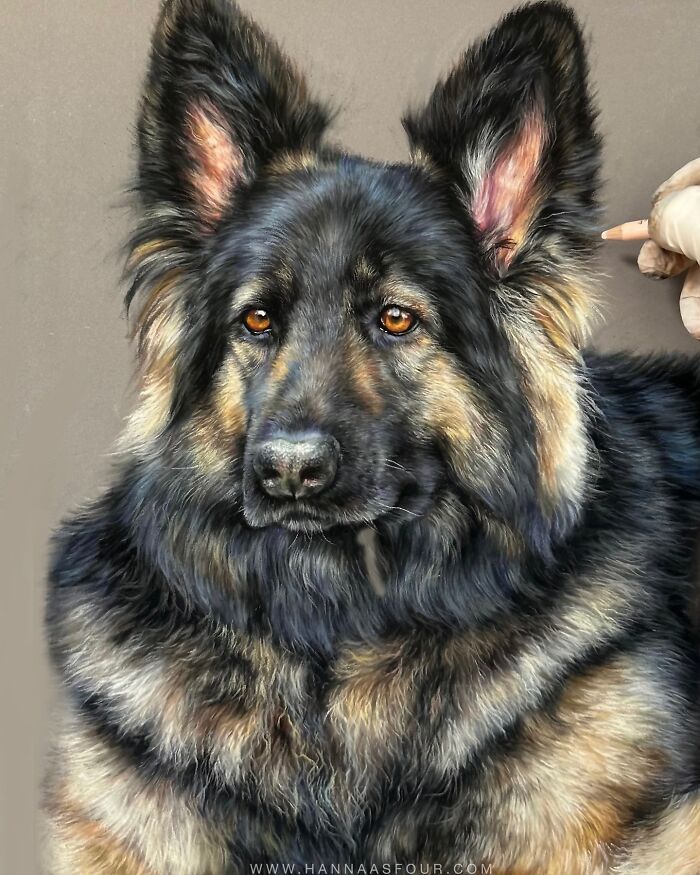 Hanna Asfour: O artista que transforma papel em retratos realistas de animais (32 fotos) 23 Hanna Asfour: O artista que transforma papel em retratos realistas de animais (32 fotos) 23