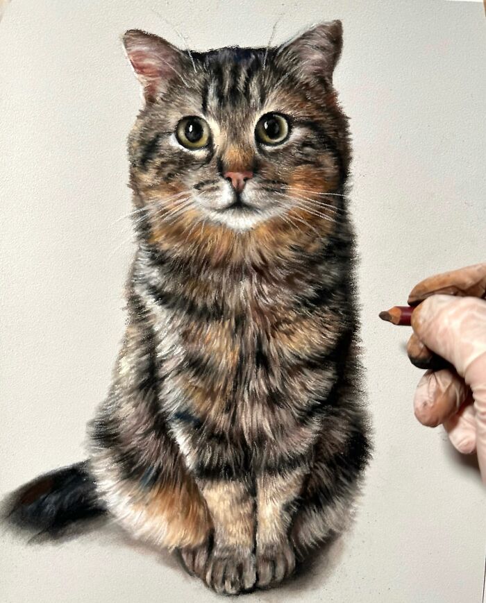 Hanna Asfour: O artista que transforma papel em retratos realistas de animais (32 fotos) 24 Hanna Asfour: O artista que transforma papel em retratos realistas de animais (32 fotos) 24