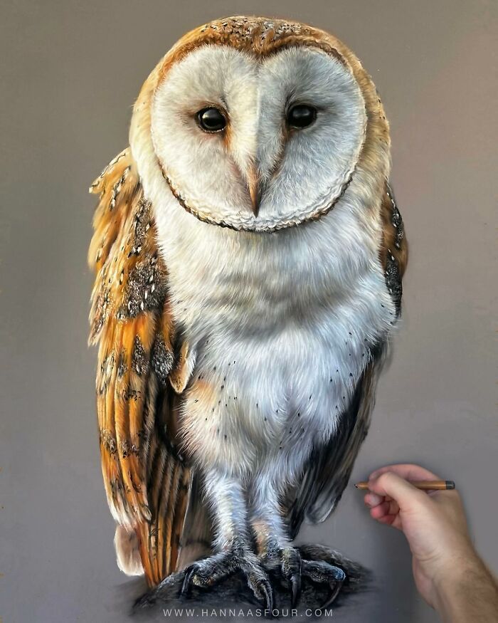Hanna Asfour: O artista que transforma papel em retratos realistas de animais (32 fotos) 25 Hanna Asfour: O artista que transforma papel em retratos realistas de animais (32 fotos) 25