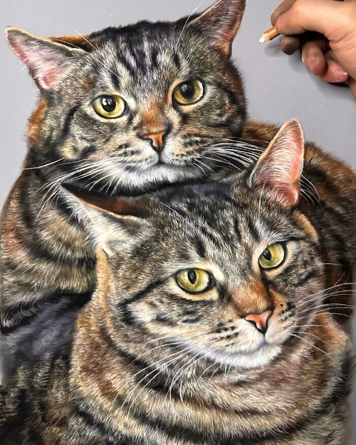 Hanna Asfour: O artista que transforma papel em retratos realistas de animais (32 fotos) 28 Hanna Asfour: O artista que transforma papel em retratos realistas de animais (32 fotos) 28