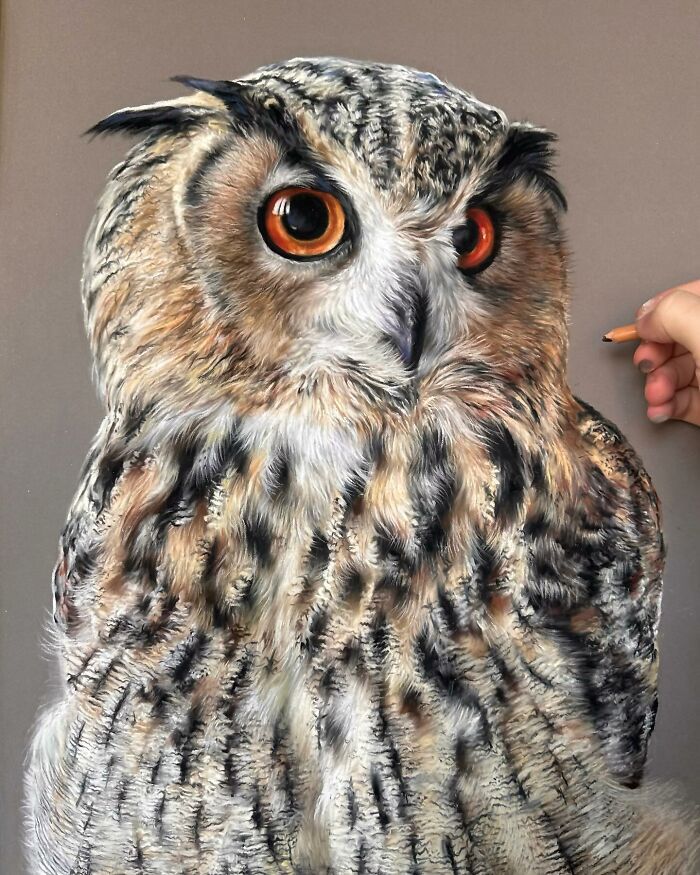 Hanna Asfour: O artista que transforma papel em retratos realistas de animais (32 fotos) 29 Hanna Asfour: O artista que transforma papel em retratos realistas de animais (32 fotos) 29