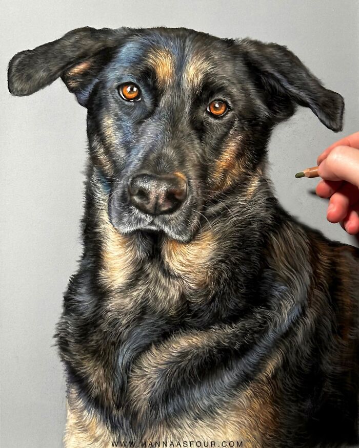 Hanna Asfour: O artista que transforma papel em retratos realistas de animais (32 fotos) 31 Hanna Asfour: O artista que transforma papel em retratos realistas de animais (32 fotos) 31