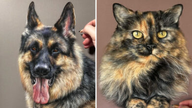 Hanna Asfour: O artista que transforma papel em retratos realistas de animais (32 fotos) 5