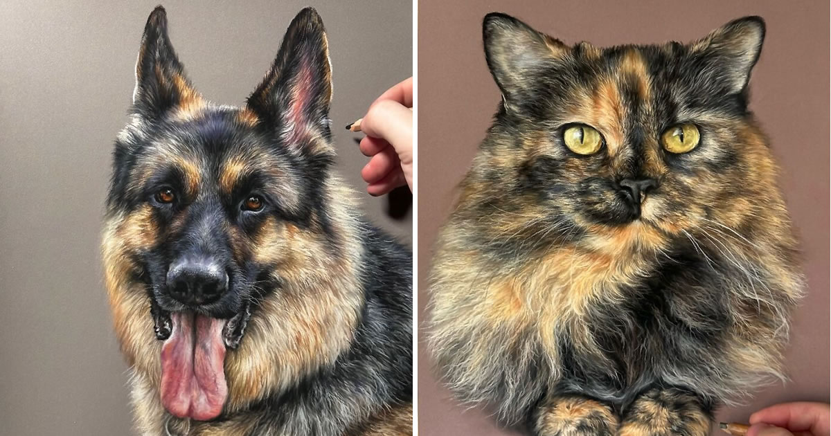 Hanna Asfour: O artista que transforma papel em retratos realistas de animais (32 fotos)