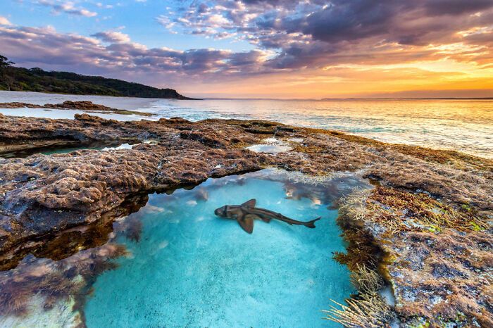 Jordan Robins: O fotógrafo que conecta dois mundos em uma só imagem (42 fotos) 42 Jordan Robins: O fotógrafo que conecta dois mundos em uma só imagem (42 fotos) 42