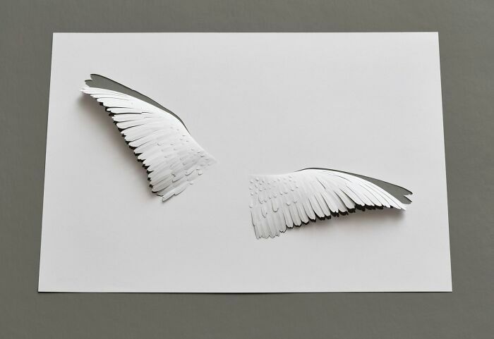 Peter Callesen: O artista que transforma uma folha de papel em escultura e poesia visual (32 fotos) 29