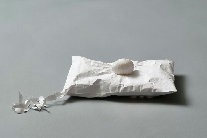 Peter Callesen: O artista que transforma uma folha de papel em escultura e poesia visual (32 fotos) 32