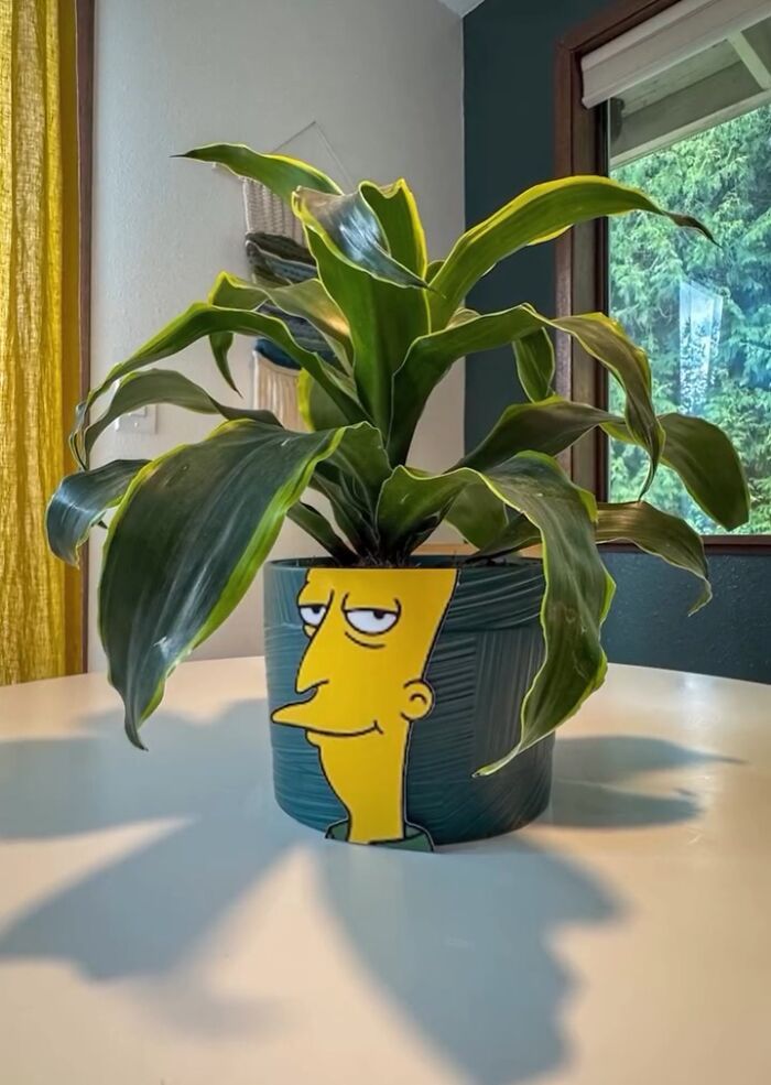Rudy Willingham transforma a paisagem urbana com criatividade e referências dos Simpsons (15 fotos) 10