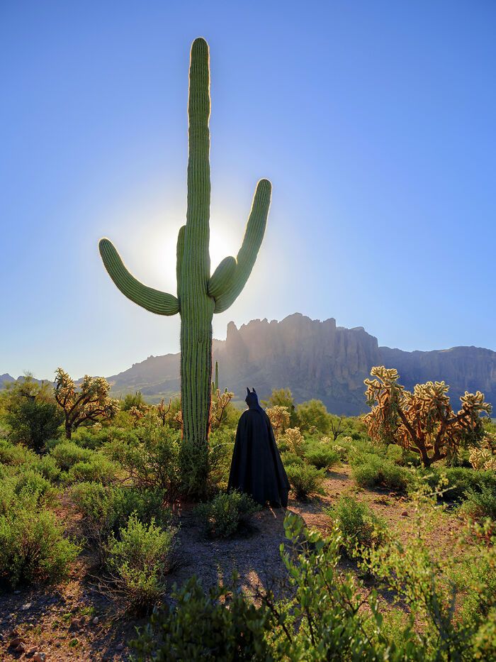 Sebastian Magnani: O fotógrafo que colocou o Batman para tomar café e repensar a vida (25 fotos) 17