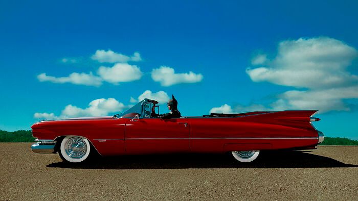 Sebastian Magnani: O fotógrafo que colocou o Batman para tomar café e repensar a vida (25 fotos) 18