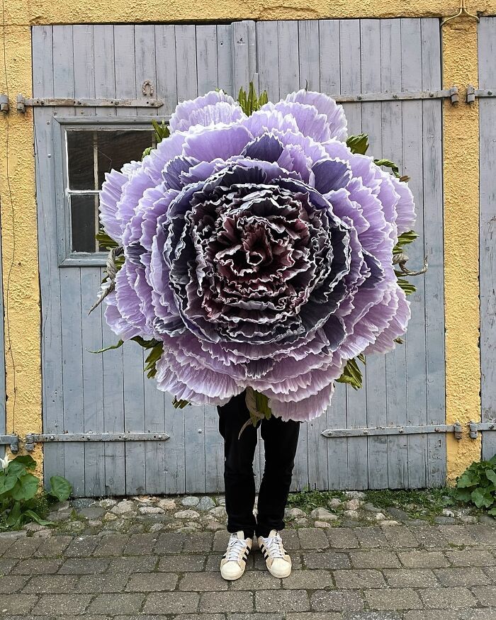 As flores gigantes de papel de Marianne Eriksen-Scott Hansen são puro encanto (32 fotos) 14
