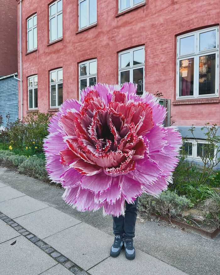 As flores gigantes de papel de Marianne Eriksen-Scott Hansen são puro encanto (32 fotos) 20