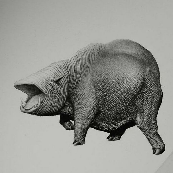 Entre o belo e o bizarro: Descubra o mundo de Mateo Pizarro (35 fotos) 11