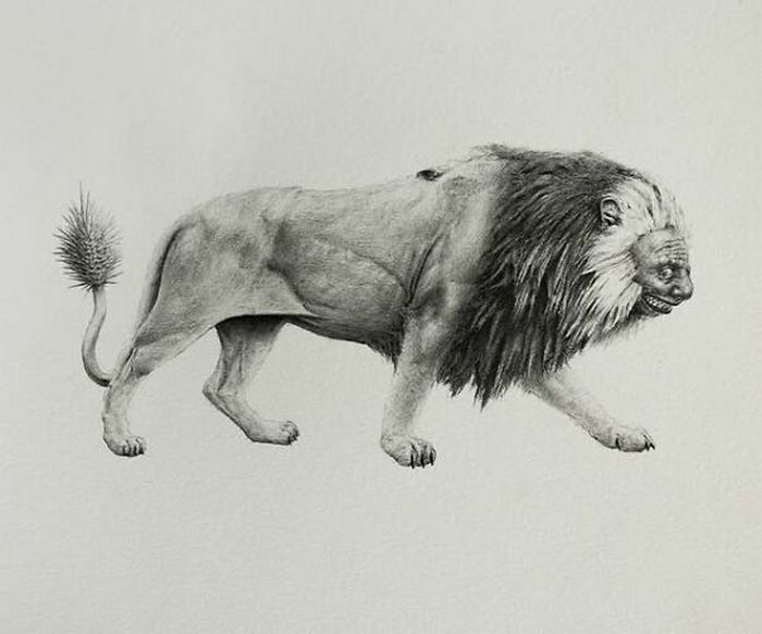 Entre o belo e o bizarro: Descubra o mundo de Mateo Pizarro (35 fotos) 20