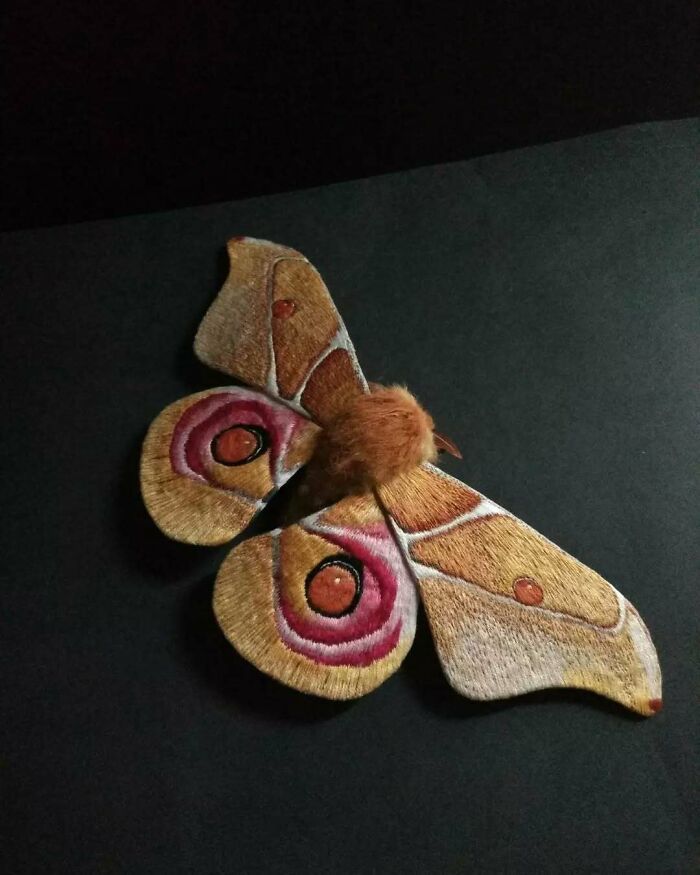 Esculturas bordadas de borboletas: A arte hipnotizante de Yumi Okita (35 fotos) 14