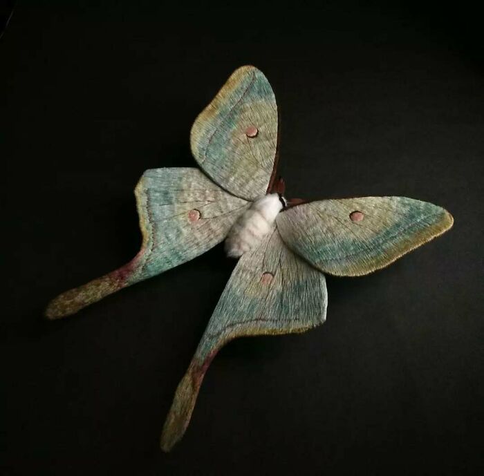 Esculturas bordadas de borboletas: A arte hipnotizante de Yumi Okita (35 fotos) 19