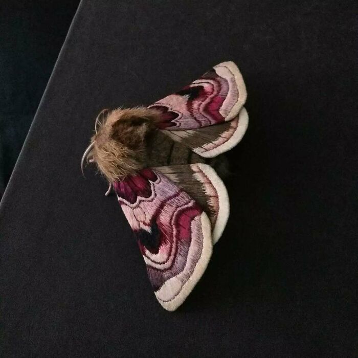 Esculturas bordadas de borboletas: A arte hipnotizante de Yumi Okita (35 fotos) 28