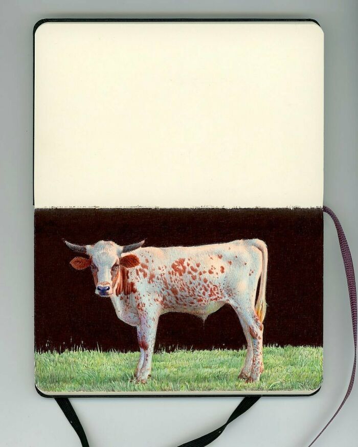 Os cadernos de Nicolas V. Sanchez: Arte realista que cabe na palma da mão (30 fotos) 2