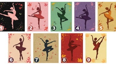 Qual bailarina representa a sua essência? Descubra e conecte-se com sua luz interior 11