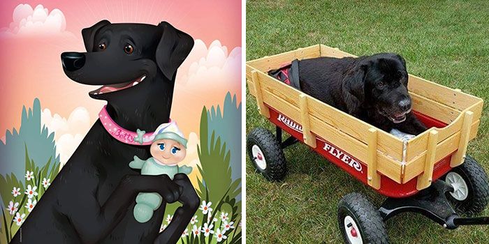 Retratos com personalidade: A arte de captar a alma dos pets nas ilustrações de Chris Beetow (28 fotos) 2