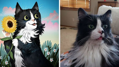 Retratos com personalidade: A arte de captar a alma dos pets nas ilustrações de Chris Beetow (28 fotos) 59