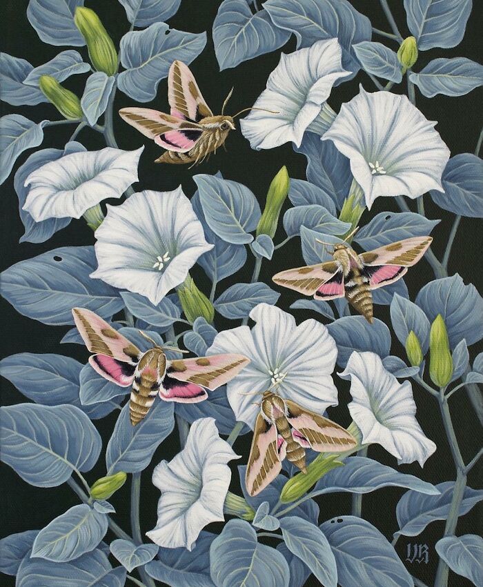 Vasilisa Romanenko: A artista que transforma natureza em fantasia com pinceladas encantadas (32 fotos) 24