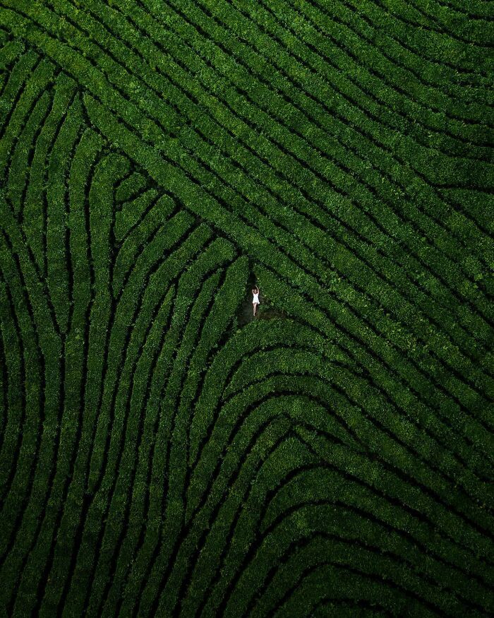 Veja o mundo de cima: A arte surpreendente de Yura Borschev (35 fotos) 5