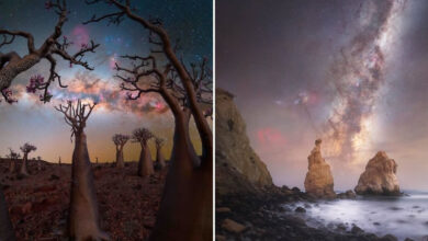 A beleza da via láctea: As fotos mais incríveis do céu noturno em 2025 (25 fotos) 22