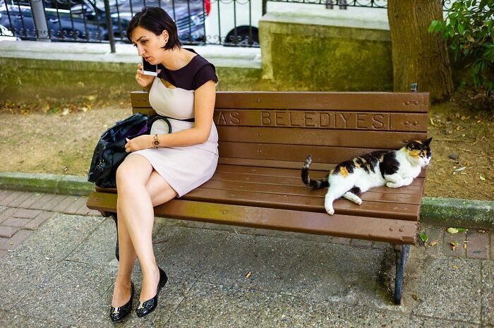 Forrest Walker: o fotógrafo que transformou 100 cidades em poesia urbana (36 fotos) 7